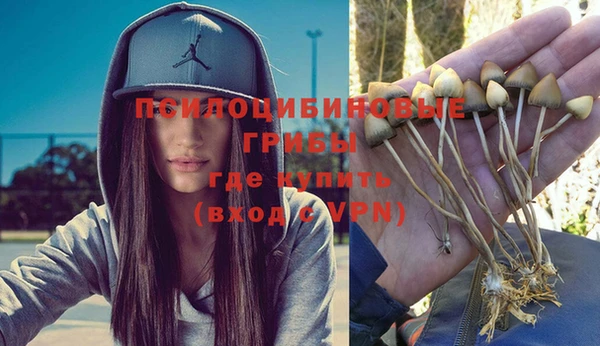 шишки Алексеевка