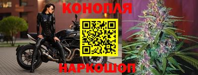 индика Волгодонск